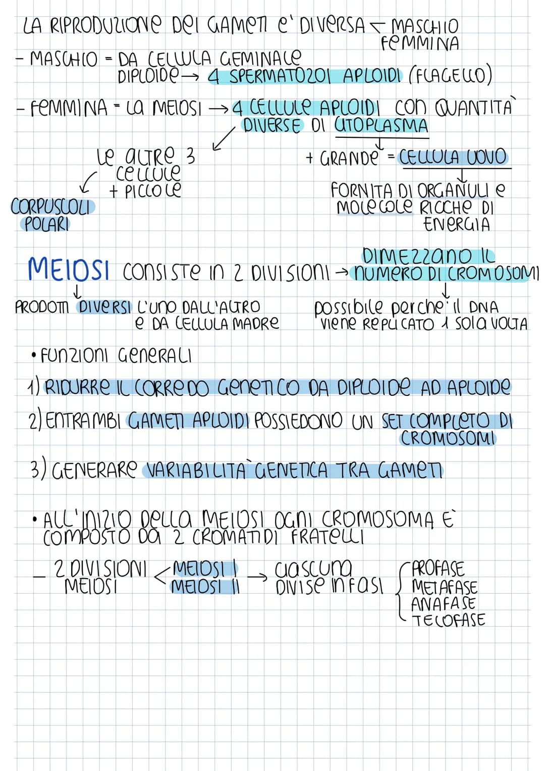 SCISSIONE BINARIA
CROMOSOMA
BATTERICO
REPUCAZIONE
searedazione
Mentre
DNA SI ROPUCA
FINE REP. INIZIO UTODIERESI → Sep 2 CELLULE AGUO
PROCARI
