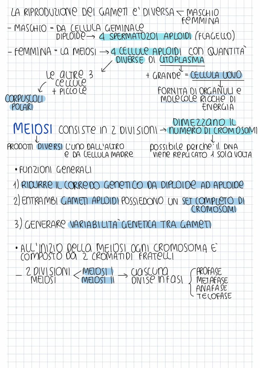 SCISSIONE BINARIA
CROMOSOMA
BATTERICO
REPUCAZIONE
searedazione
Mentre
DNA SI ROPUCA
FINE REP. INIZIO UTODIERESI → Sep 2 CELLULE AGUO
PROCARI