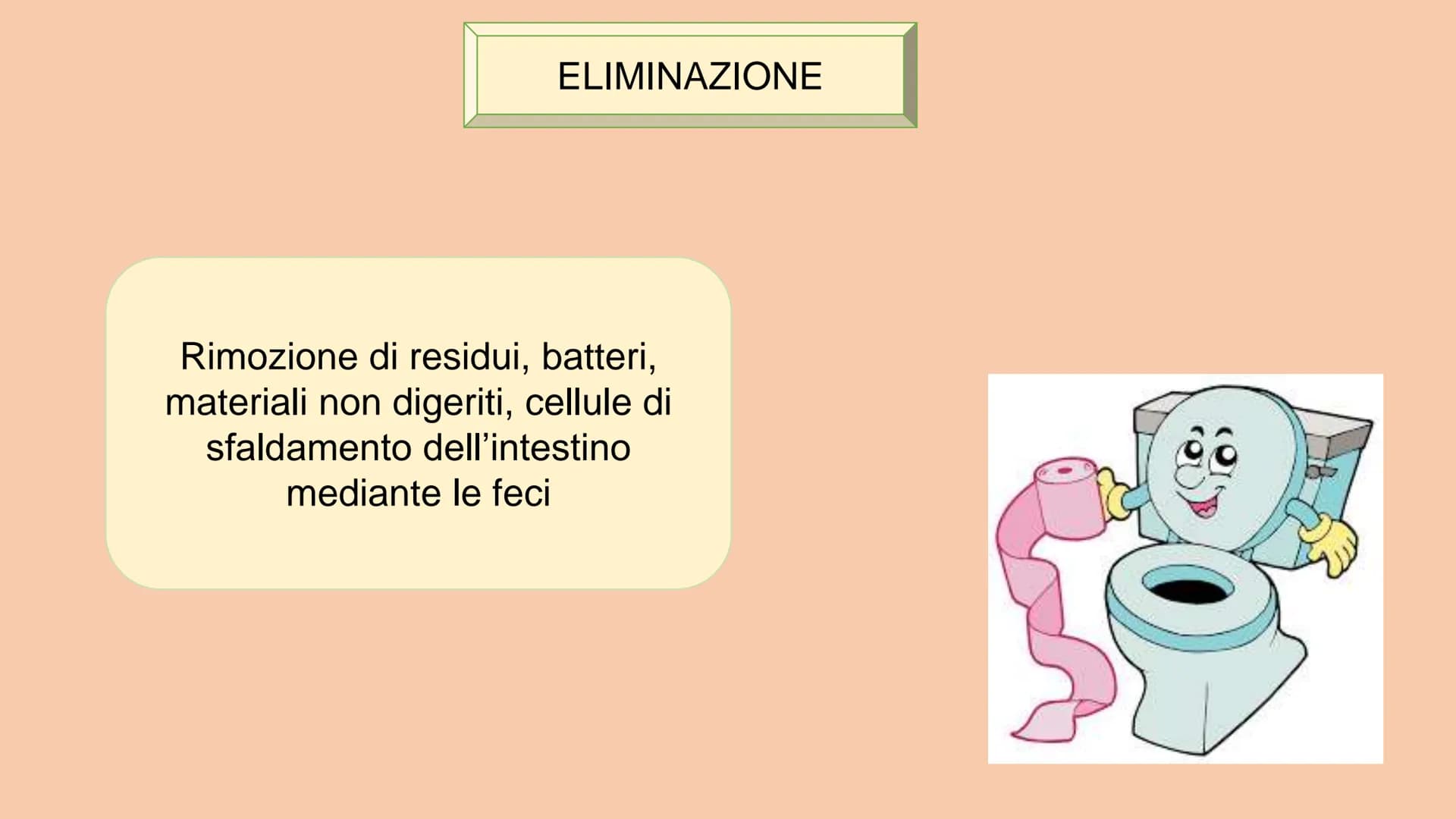 SOSTANZE NUTRITIVE
CHE ENTRANO NEL
CORPO
APPARATO DIGERENTE
SOSTANZE DI SCARTO
CHE ESCONO DAL
CORPO
S
EQUILIBRIO DI MASSA PROCESSAMENTO DEL 