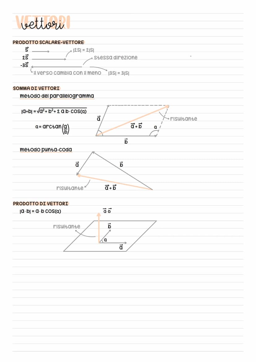 Fisica
Martina Brune/ unità di misura
lunghezza
area/superficie
volume
massa
angolo solido
angolo
tempo
velocità
velocità angolare
acceleraz
