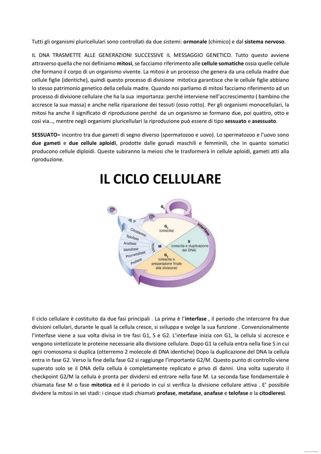 IL DNA
Il DNA rappresenta la traduzione di quello che noi abbiamo detto è l'informazione genetica. La molecola del
DNA è costituita da 2 fil