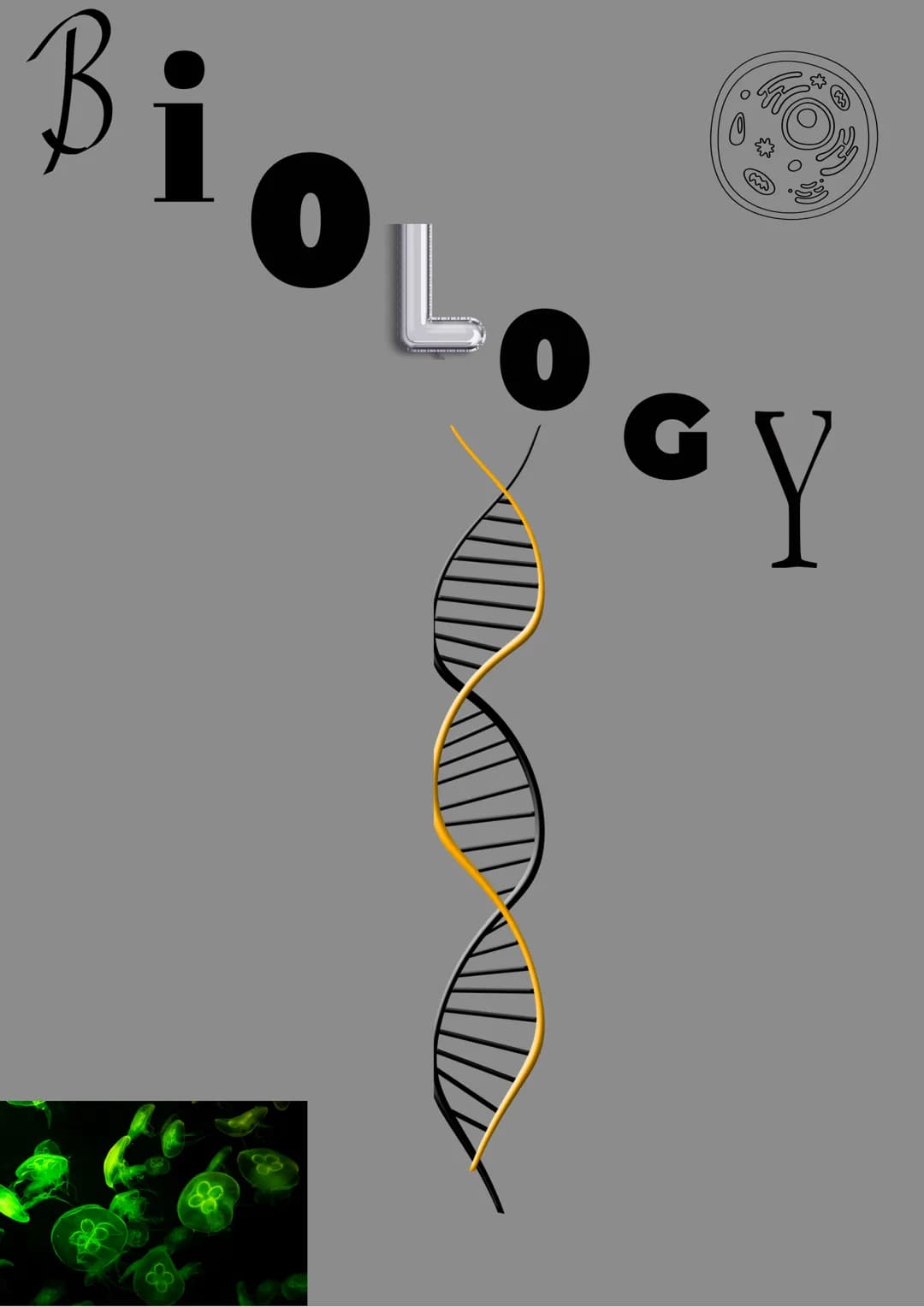 
<p>La trascrizione del DNA è il processo attraverso il quale un gene viene copiato in una molecola di RNA. Questa è un'importante fase che 