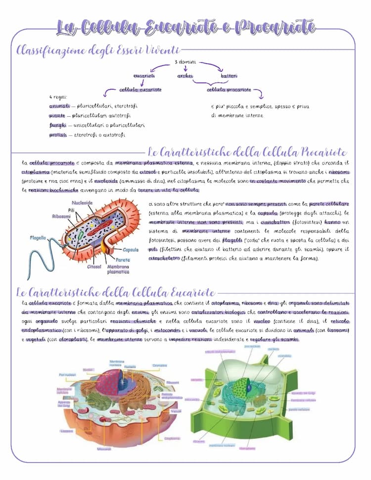 Know La Cellula thumbnail