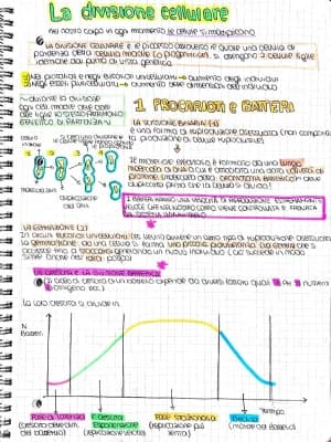 Know la riproduzione cellulare: mitosi e meiosi  thumbnail