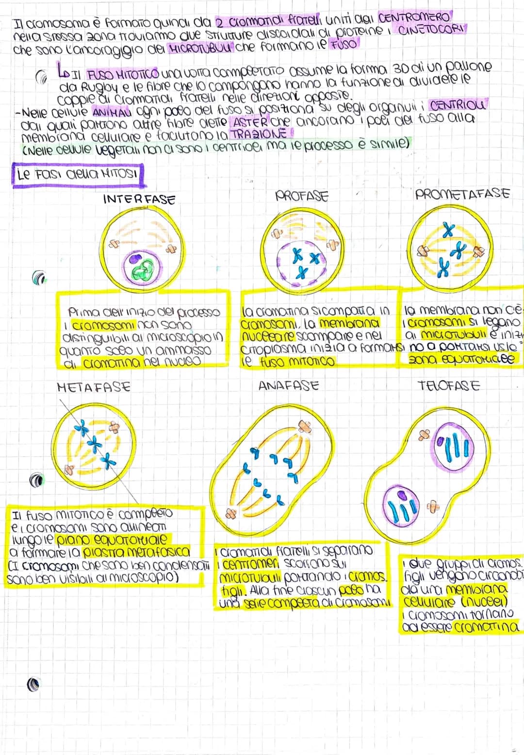 La divisione cellulare
nel nostro corpo in ogni momento le cellule si moltiplicano
JOOG
LA DIVISIONE CELLVIARE è le processo attraverso le q