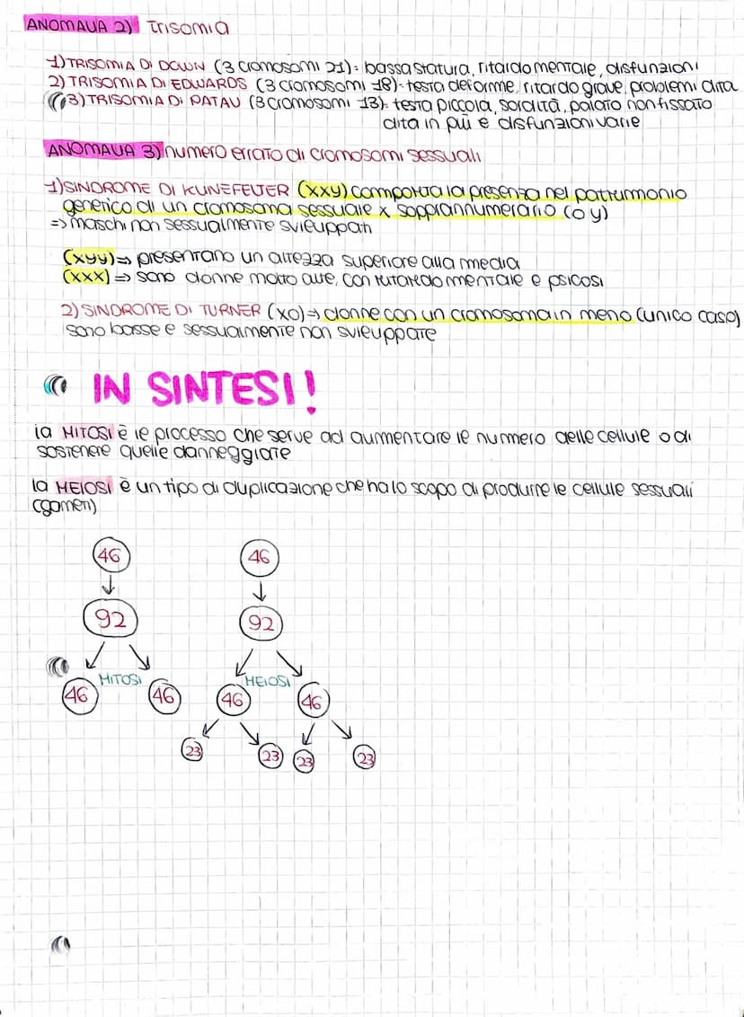La divisione cellulare
nel nostro corpo in ogni momento le cellule si moltiplicano
JOOG
LA DIVISIONE CELLVIARE è le processo attraverso le q