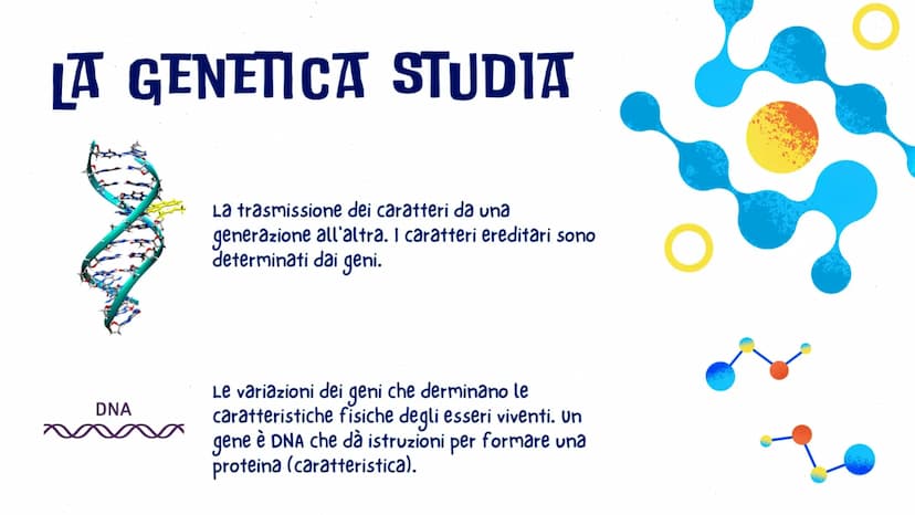 LA GENETICA
GLO, CAROL E LUDO
OFE LA GENETICA STUDIA
DNA
La trasmissione dei caratteri da una
generazione all'altra. I caratteri ereditari s