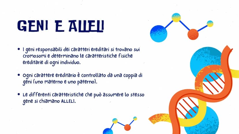 LA GENETICA
GLO, CAROL E LUDO
OFE LA GENETICA STUDIA
DNA
La trasmissione dei caratteri da una
generazione all'altra. I caratteri ereditari s