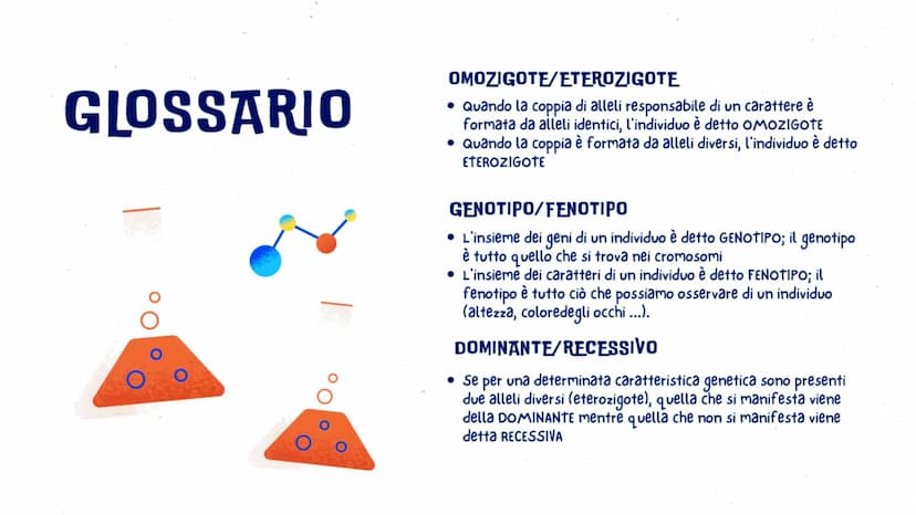 LA GENETICA
GLO, CAROL E LUDO
OFE LA GENETICA STUDIA
DNA
La trasmissione dei caratteri da una
generazione all'altra. I caratteri ereditari s