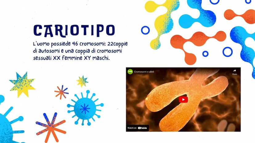 LA GENETICA
GLO, CAROL E LUDO
OFE LA GENETICA STUDIA
DNA
La trasmissione dei caratteri da una
generazione all'altra. I caratteri ereditari s