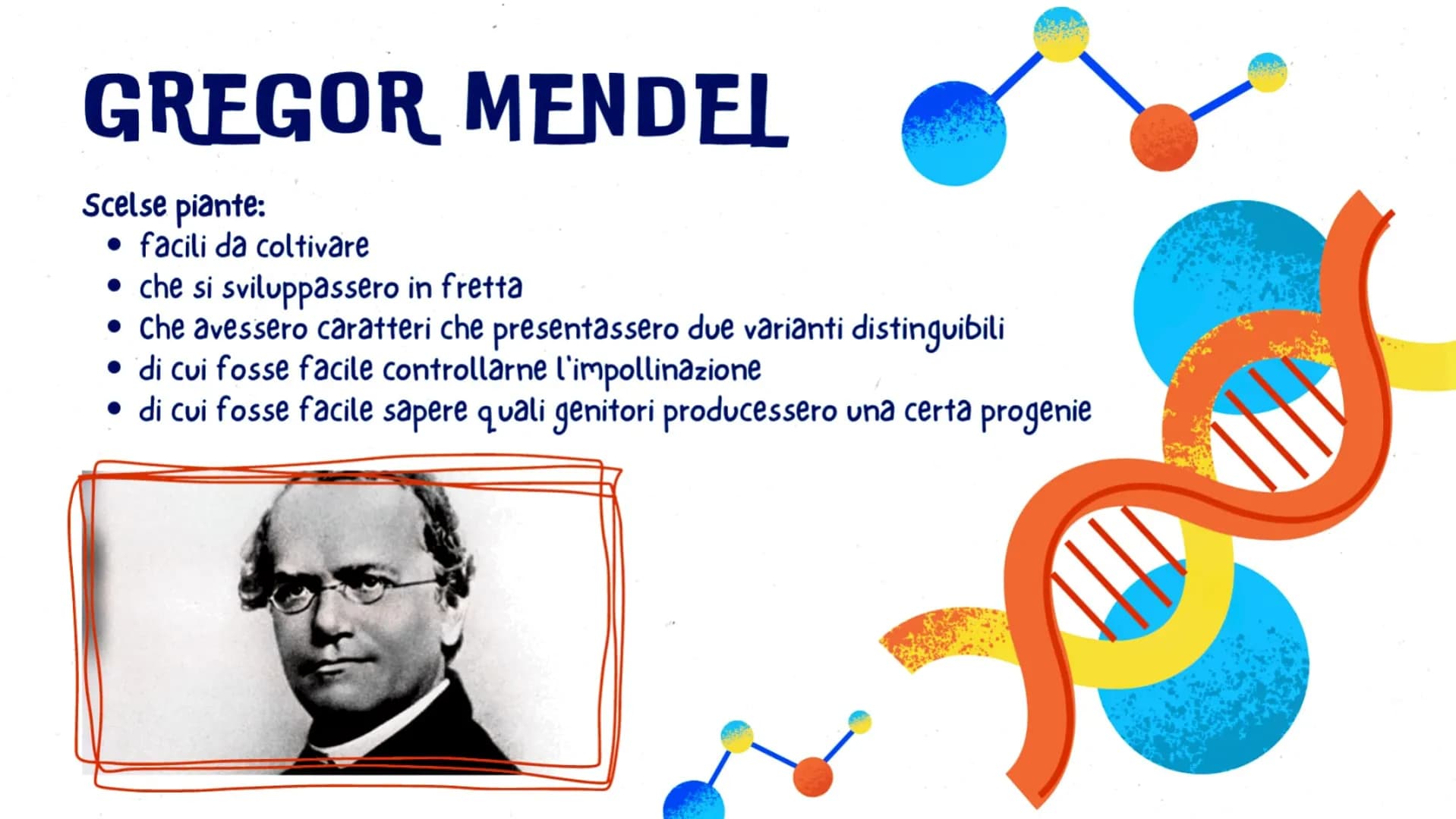 LA GENETICA
GLO, CAROL E LUDO
OFE LA GENETICA STUDIA
DNA
La trasmissione dei caratteri da una
generazione all'altra. I caratteri ereditari s