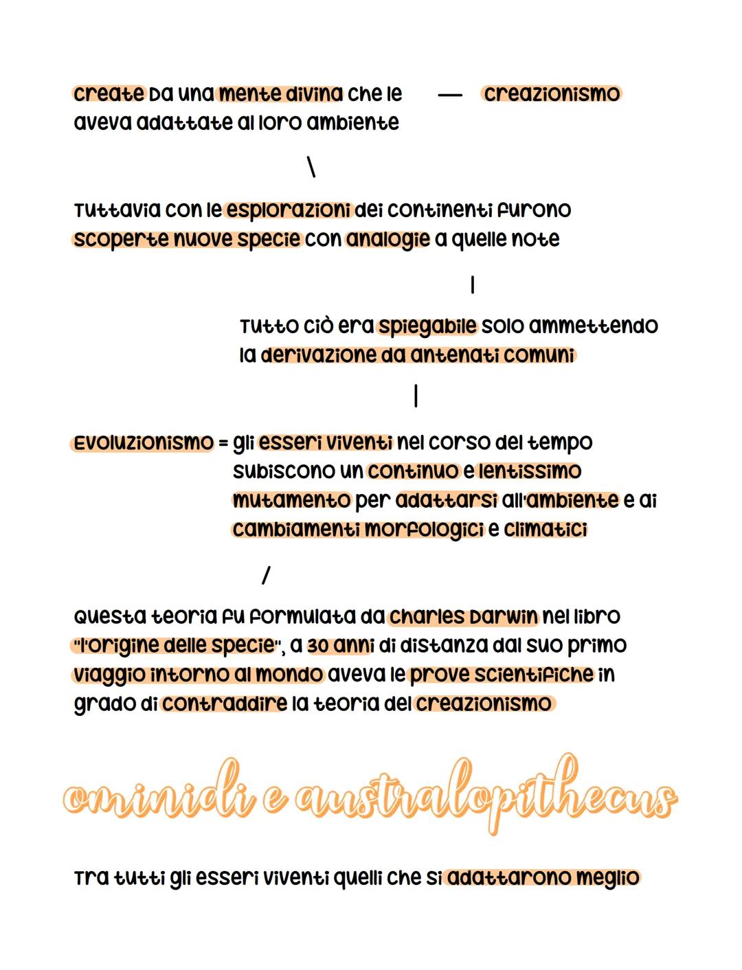 obbiettivi della storia
La storia (dal Greco historia = ricerca) è una disciplina che
Studia il passato dell'uomo per poterlo raccontare all