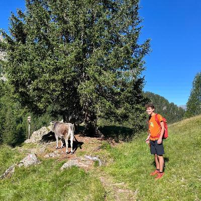 user profile picture