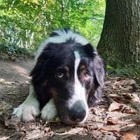 user profile picture