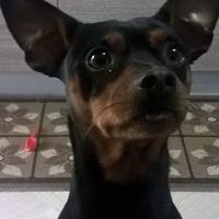 user profile picture