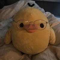 user profile picture