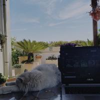 user profile picture