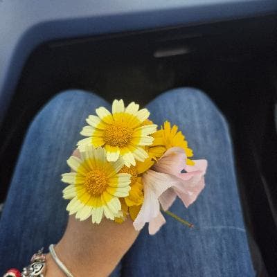 user profile picture