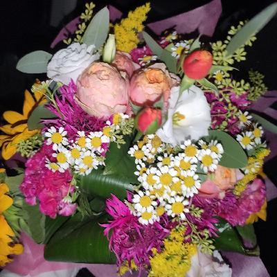 user profile picture