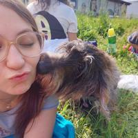 user profile picture