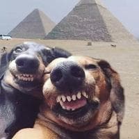 user profile picture