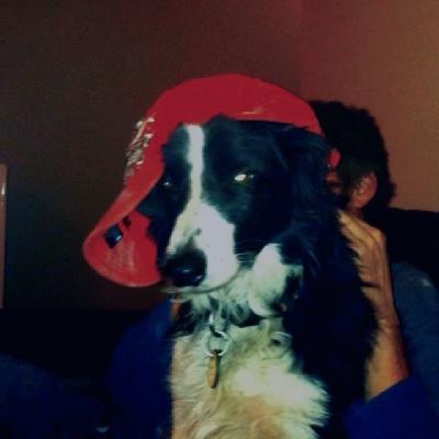 user profile picture