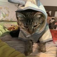 user profile picture