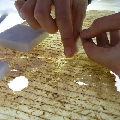 user profile picture