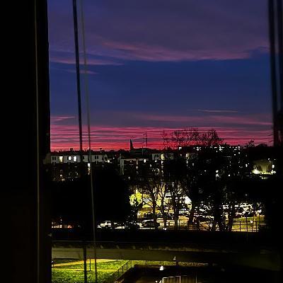 user profile picture