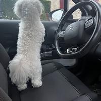 user profile picture