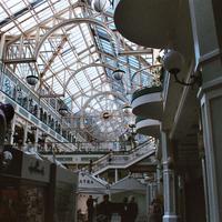 user profile picture