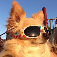 user profile picture