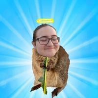 user profile picture