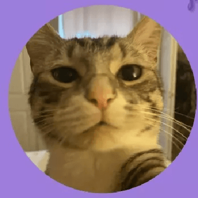 user profile picture