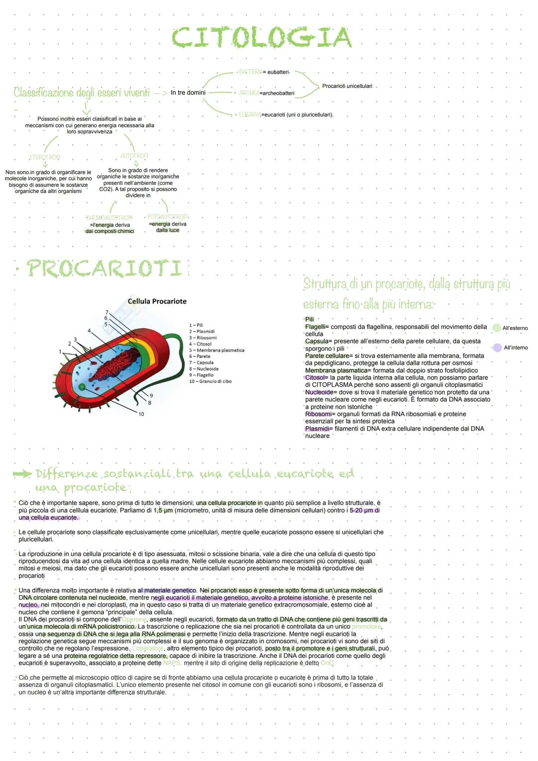 LA CELLULA EUCARIOTE E PROCARIOTE, APPUNTI COMPLETI