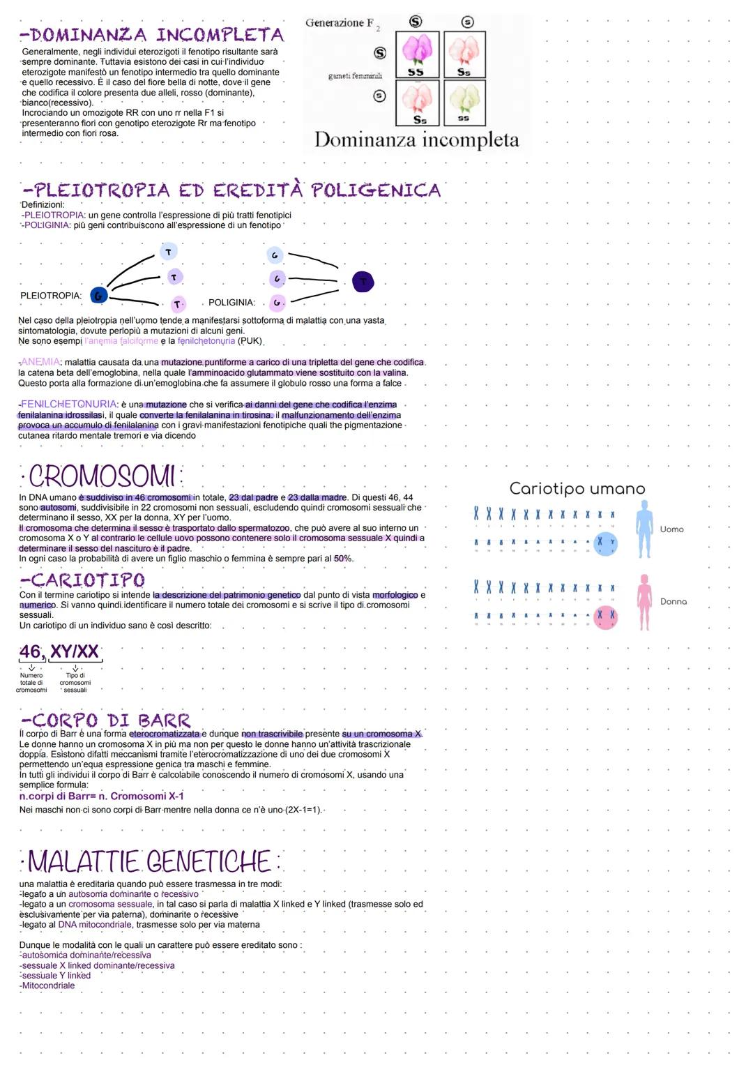 # GENETICA
ACIDI NUCLEICI Sono formati da unità ripetute di NUCLEOTIDI
Due o più nucleotidi si uniscono tra loro tramite
un legame fosfodi