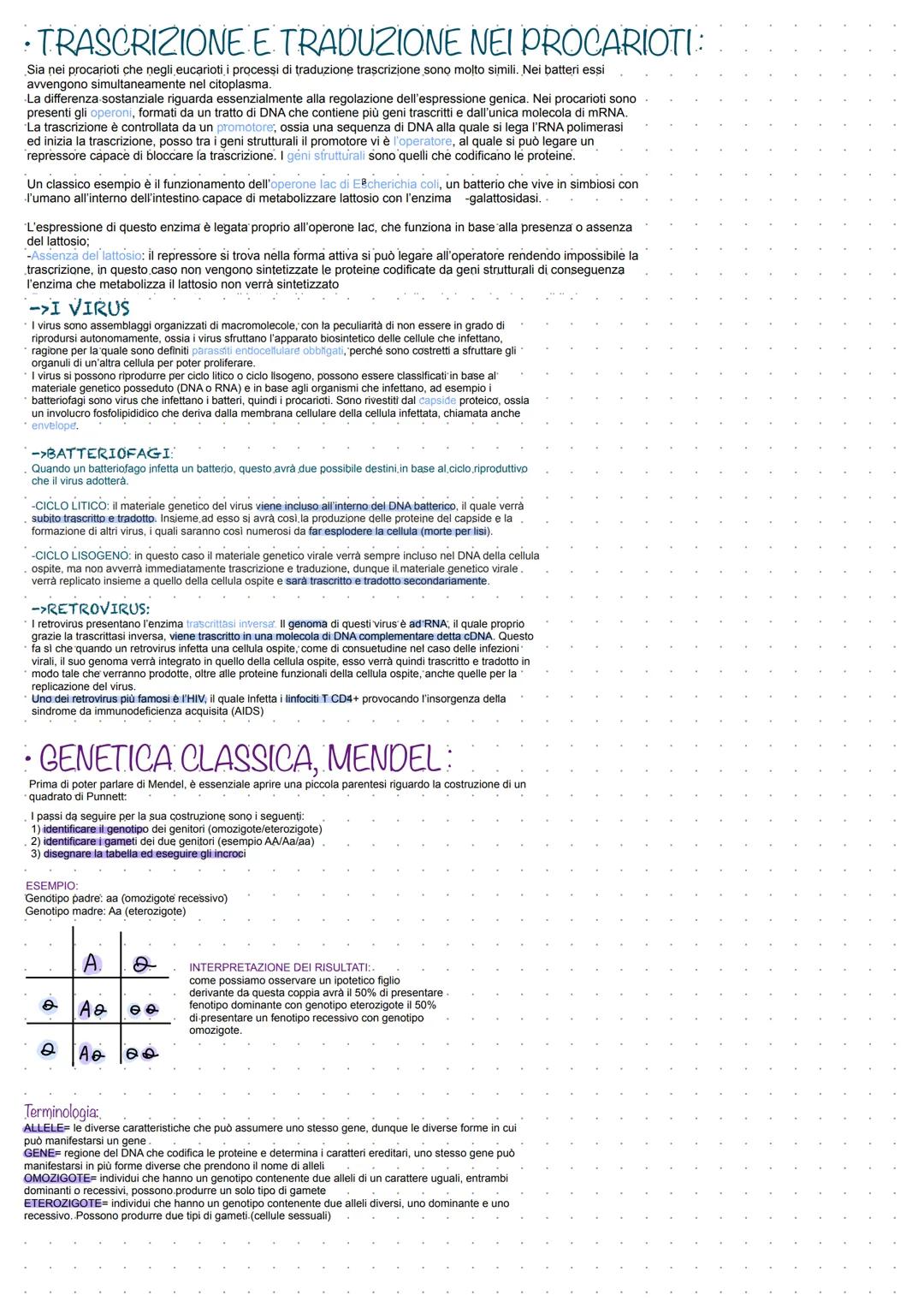 # GENETICA
ACIDI NUCLEICI Sono formati da unità ripetute di NUCLEOTIDI
Due o più nucleotidi si uniscono tra loro tramite
un legame fosfodi