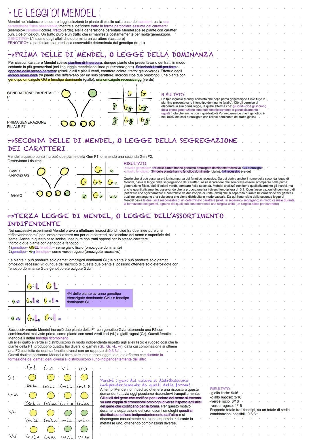 # GENETICA
ACIDI NUCLEICI Sono formati da unità ripetute di NUCLEOTIDI
Due o più nucleotidi si uniscono tra loro tramite
un legame fosfodi