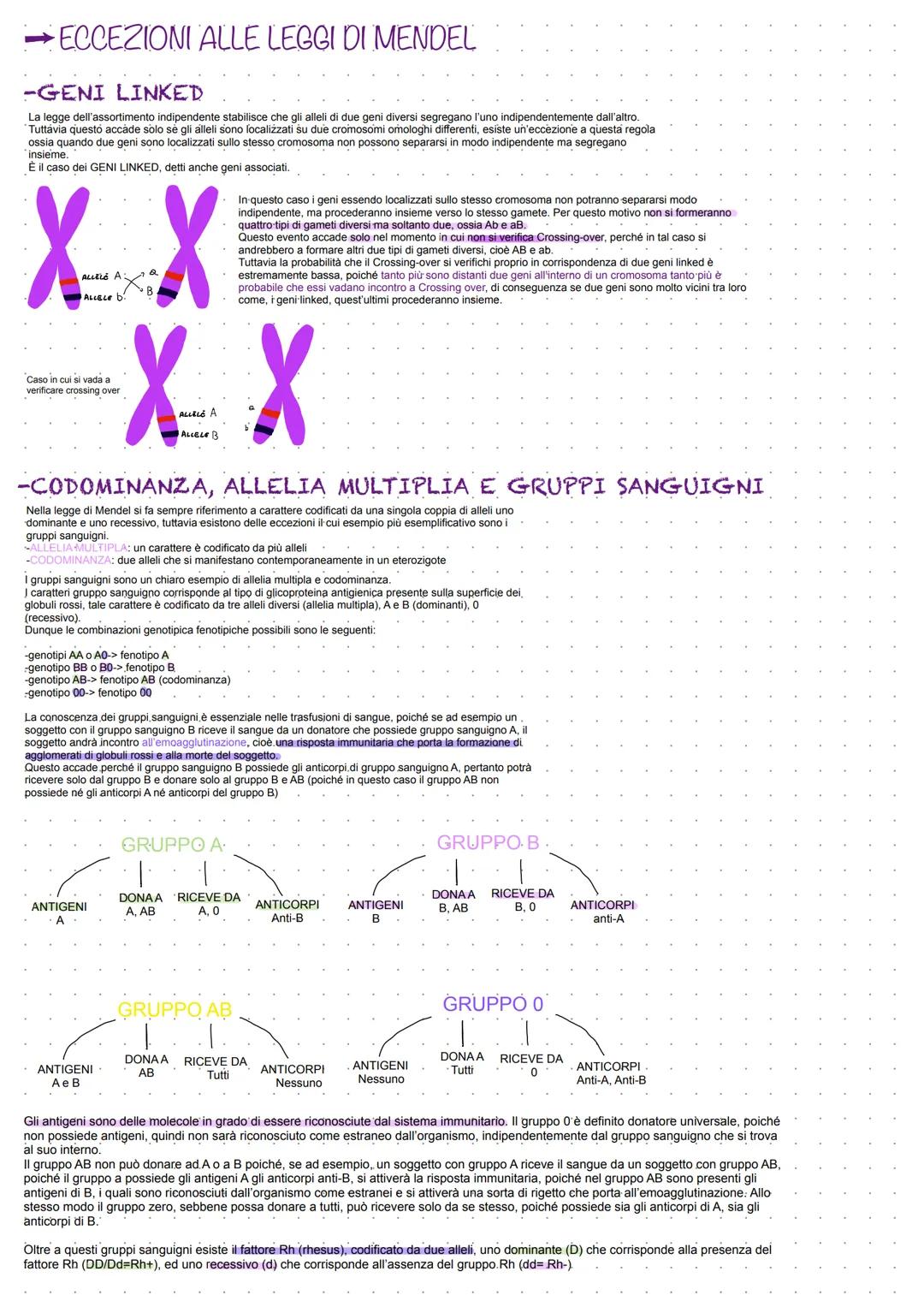 # GENETICA
ACIDI NUCLEICI Sono formati da unità ripetute di NUCLEOTIDI
Due o più nucleotidi si uniscono tra loro tramite
un legame fosfodi
