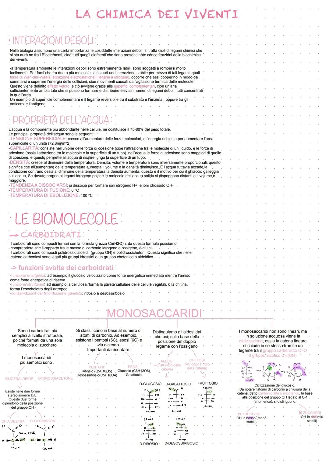 BIOMOLECOLE, CHIMICA DEI VIVENTI