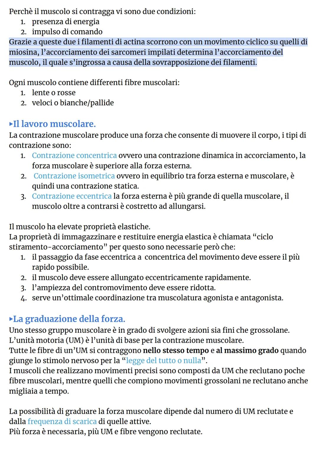 # IL SISTEMA MUSCOLARE
►L'organizzazione del sistema muscolare.
L'azione caratteristica del muscolo, ovvero la parte
contrattile dell'appar