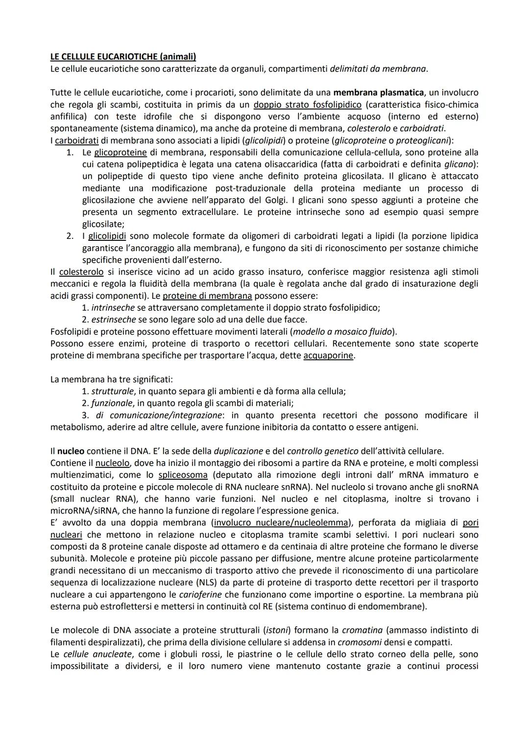 # Dipartimento di Medicina e Chirurgia
del'Università degli Studi di Padova
# BIOLOGIA PER IL TEST DI AMMISSIONE
a cura di: Aaron Romano