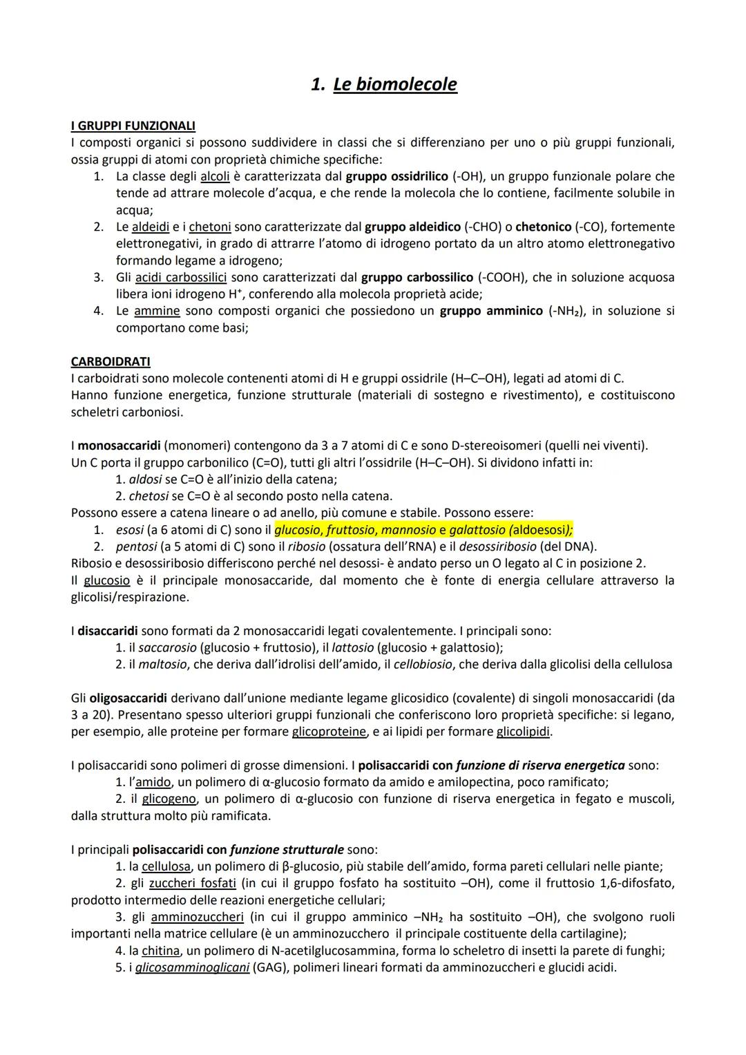 # Dipartimento di Medicina e Chirurgia
del'Università degli Studi di Padova
# BIOLOGIA PER IL TEST DI AMMISSIONE
a cura di: Aaron Romano