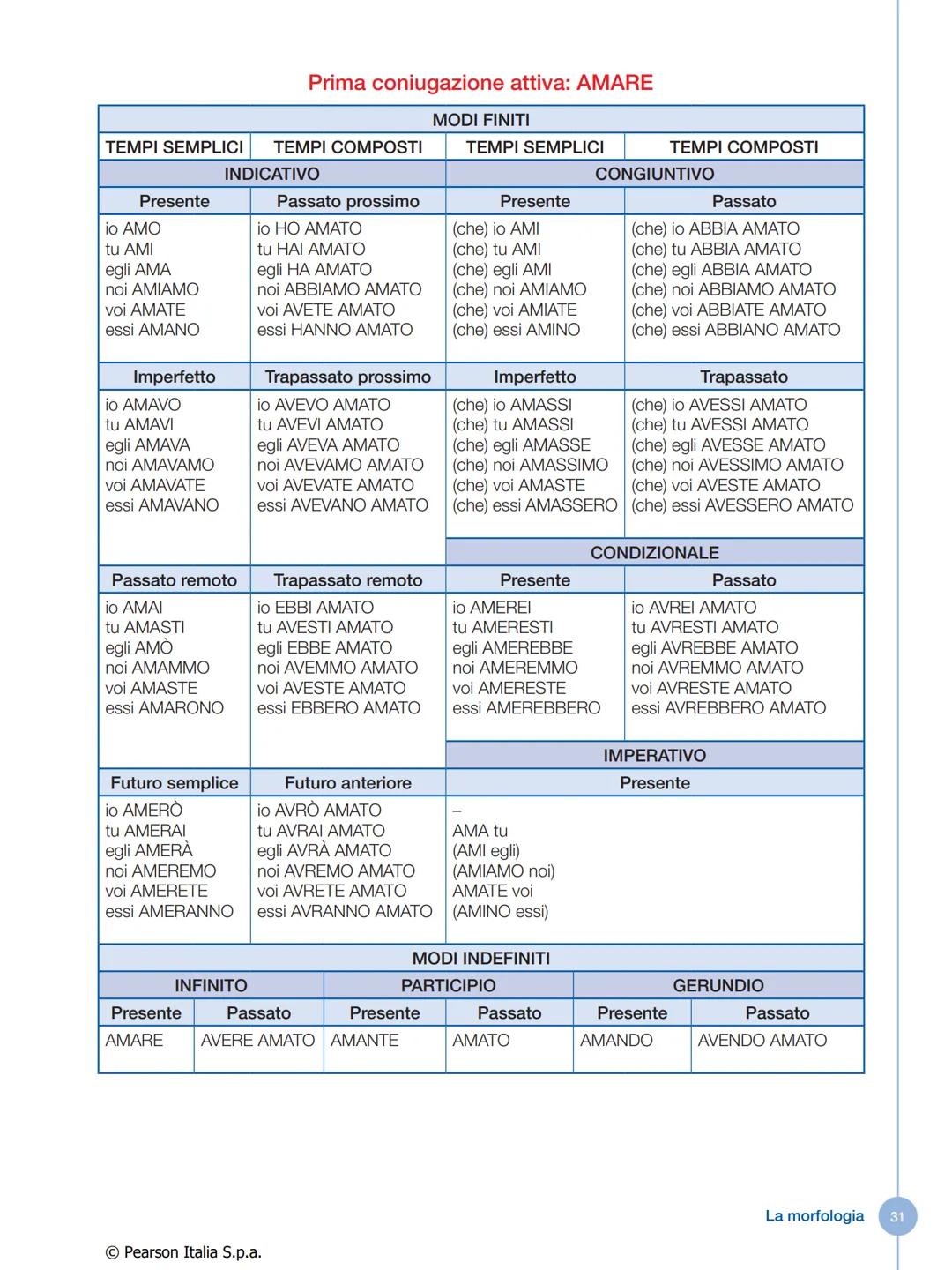 IL VERBO
Che cos'è il verbo
Il verbo è la parte variabile del discorso che indica:
• un'azione compiuta da una persona o da una cosa
• un'az