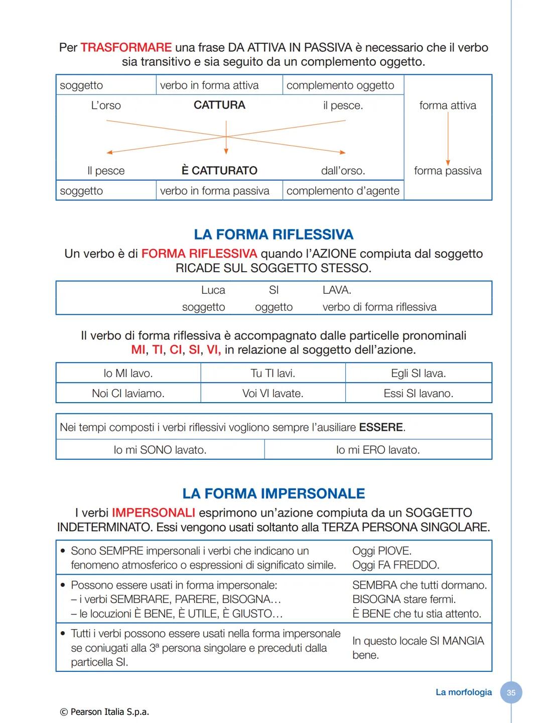 IL VERBO
Che cos'è il verbo
Il verbo è la parte variabile del discorso che indica:
• un'azione compiuta da una persona o da una cosa
• un'az
