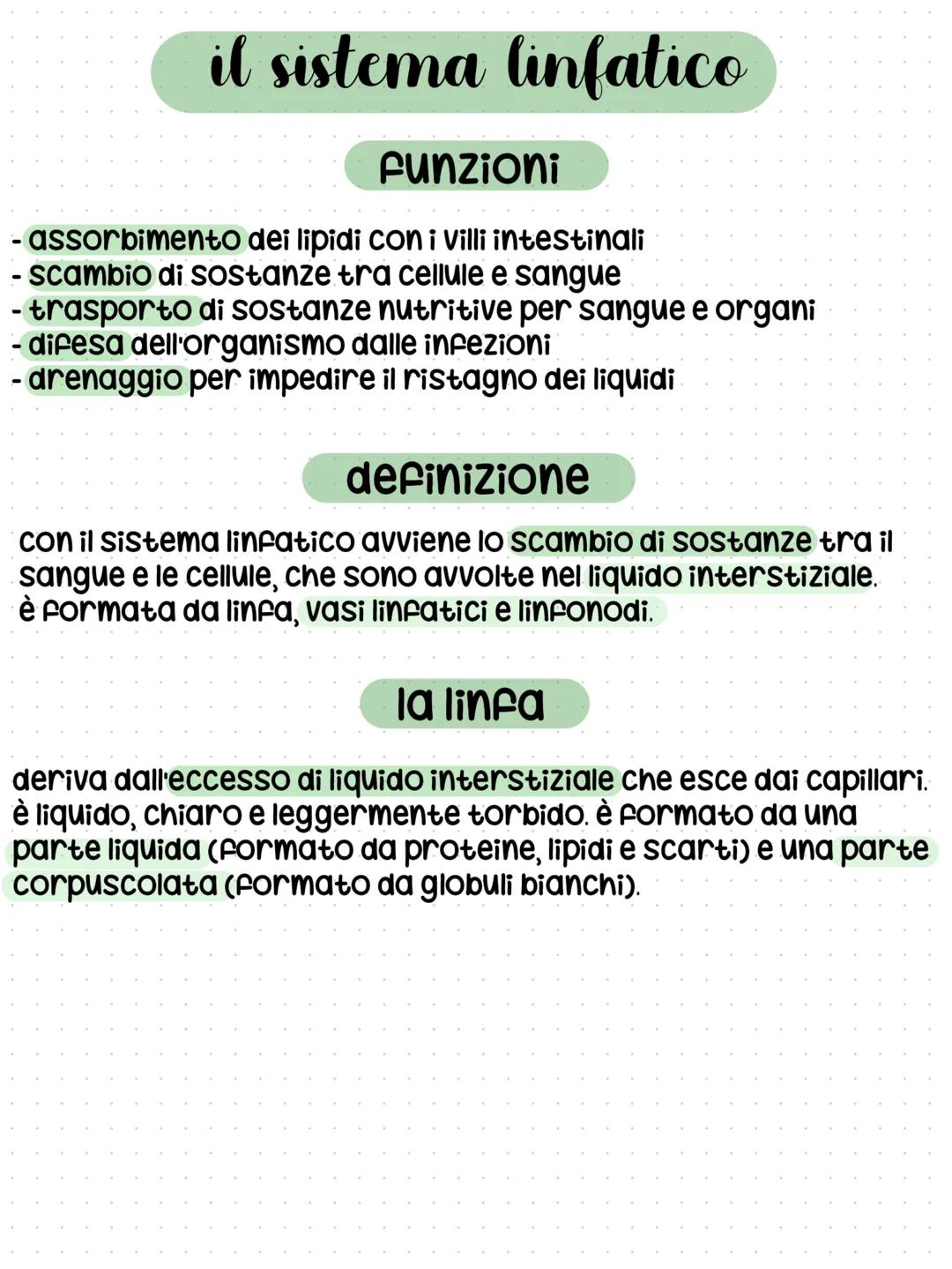 il sistema linfatico
funzioni
- assorbimento dei lipidi con i Villi intestinali
- scambio di sostanze tra cellule e sangue
- trasporto di so