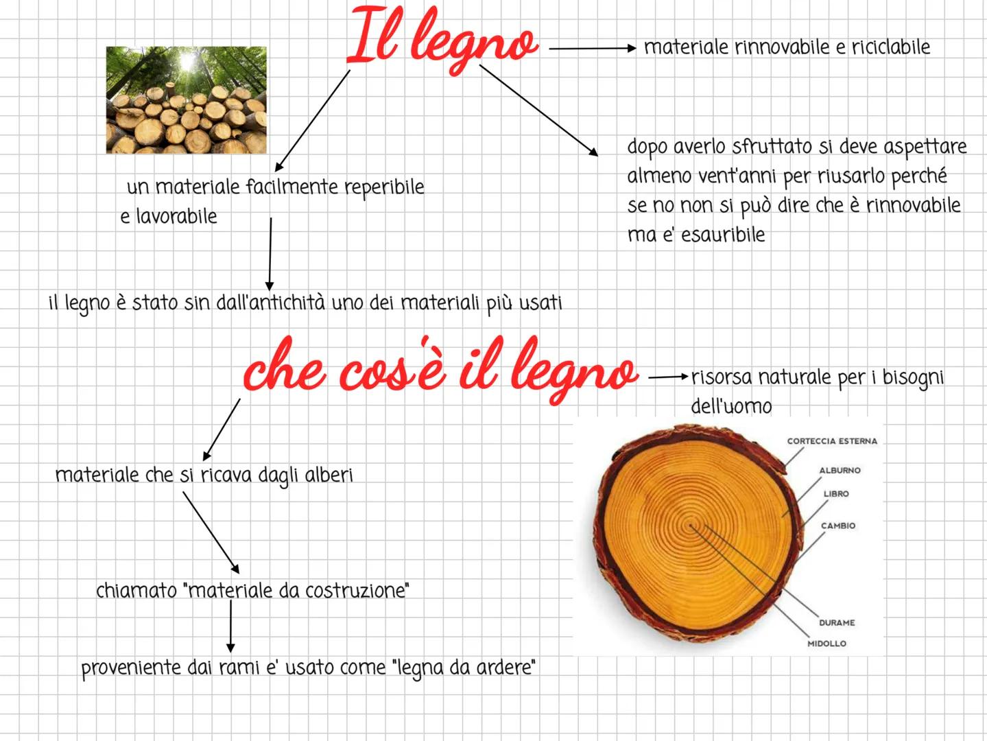 Il legno
→ materiale rinnovabile e riciclabile
un materiale facilmente reperibile
e lavorabile
il legno è stato sin dall'antichità uno dei