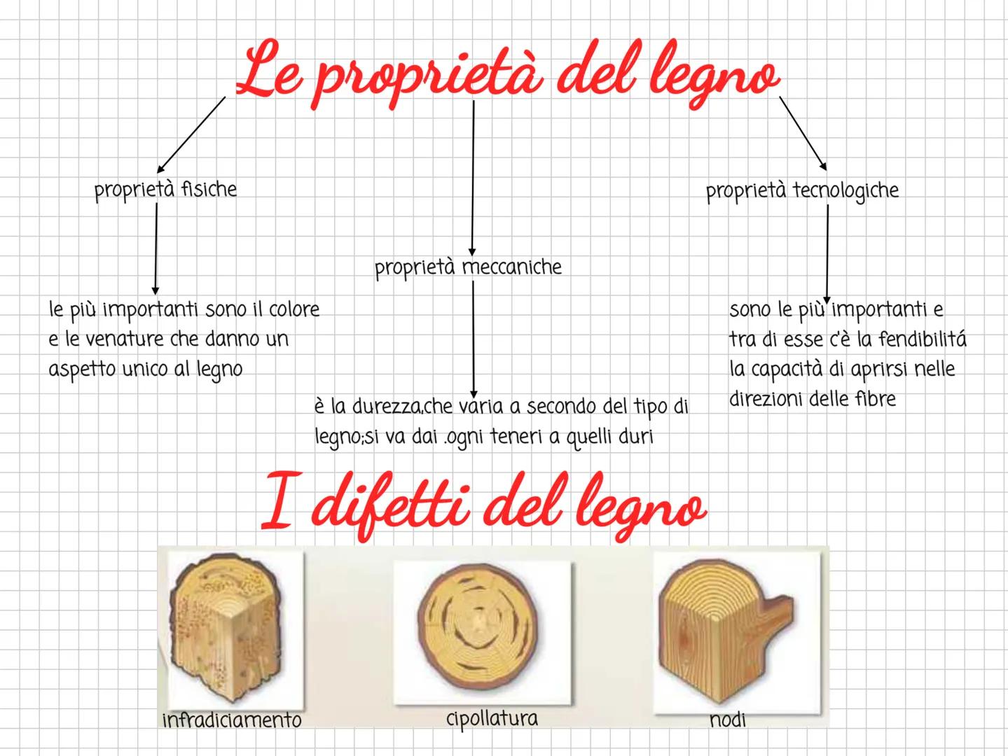Il legno
→ materiale rinnovabile e riciclabile
un materiale facilmente reperibile
e lavorabile
il legno è stato sin dall'antichità uno dei