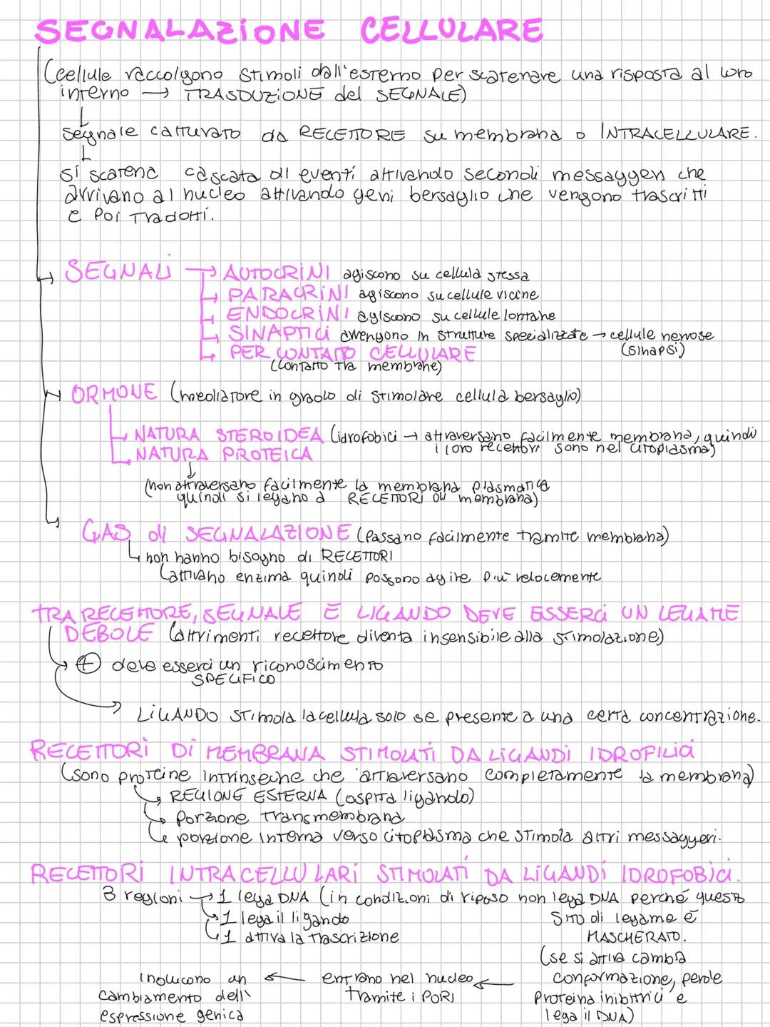CICLO CELLULARE E HITOST
(cellula, deve replicare il proprio genoma per dividersi e separarionelle 2 cellule figlie)
M per farlo deve avere