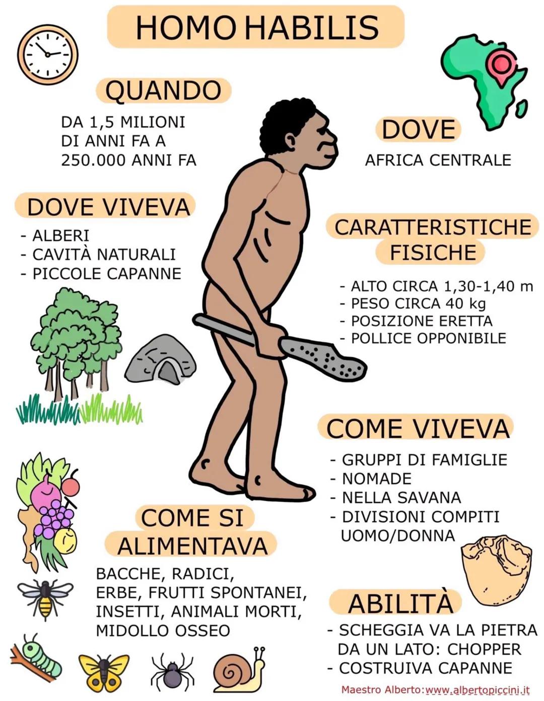 # AUSTRALOPITECO
QUANDO
3,5-4 MILIONI DI ANNI FA
DOVE
AFRICA ORIENTALE
DOVE VIVEVA
- SUGLI ALBERI
- NELLA SAVANA
C
10
CARATTERISTICH